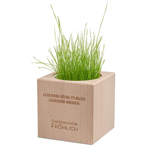 Plante-bois Grande avec graines - Persil, 2 sites gravés au laser, Image 2