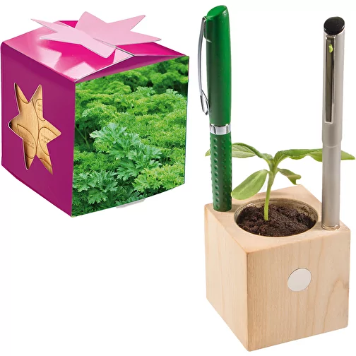 Pot cube boisde bureau en boite star-box avec graines - Persil, Image 1