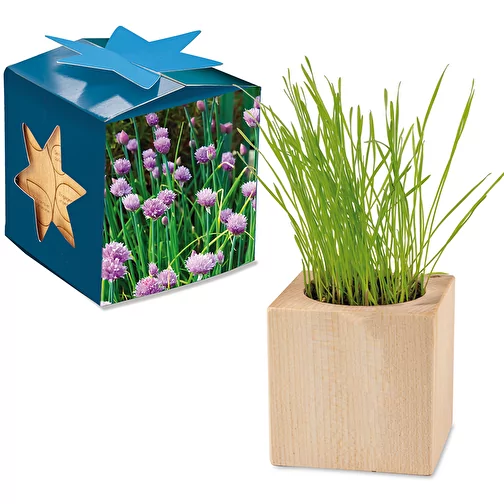 Pot cube bois Maxi en boite star-box avec graines - ciboulette, 1 sites gravés au laser, Image 1