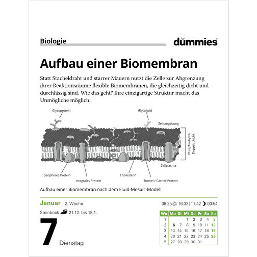 Die Welt Erklärt Für Dummies Tagesabreißkalender , Papier, 12,50cm x 16,00cm (Länge x Breite), Bild 4