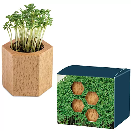 Bois de plantation Hexagon avec graines - Cresson de jardin, 1 face gravée au laser, Image 1