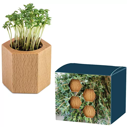 Hexagone à planter avec graines - Thym, Image 1