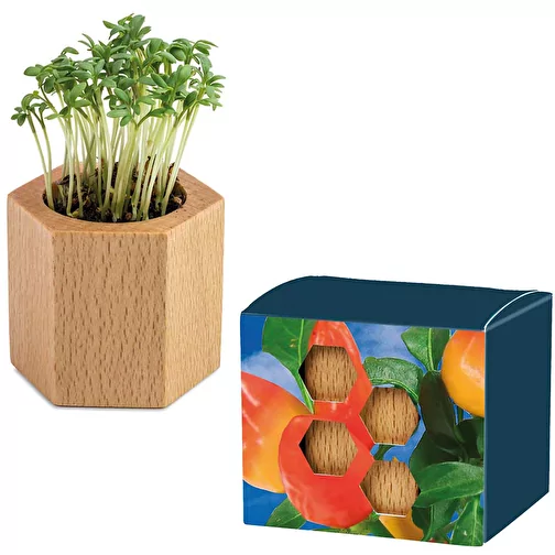 Hexagone à planter avec graines - Poivron d\'épices, Image 1
