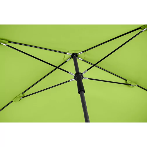 Parasol R, Image 6