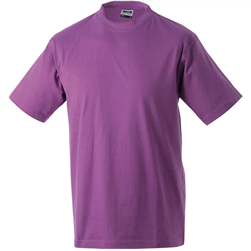 Junior Basic-T, Obraz 1