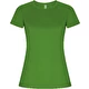 green fern