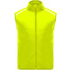 fluor yellow