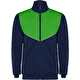 navy blue / verde felce