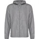 gris argent