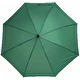 vert foncé